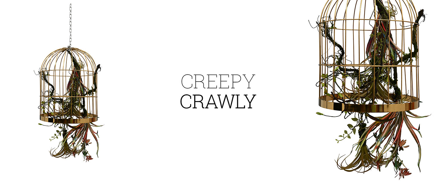 Creepy Crawly