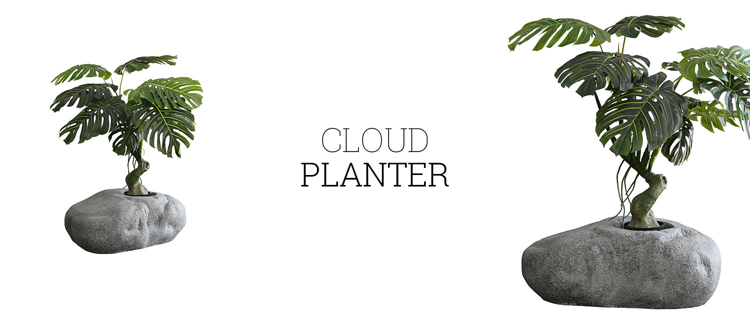 Cloud Planter