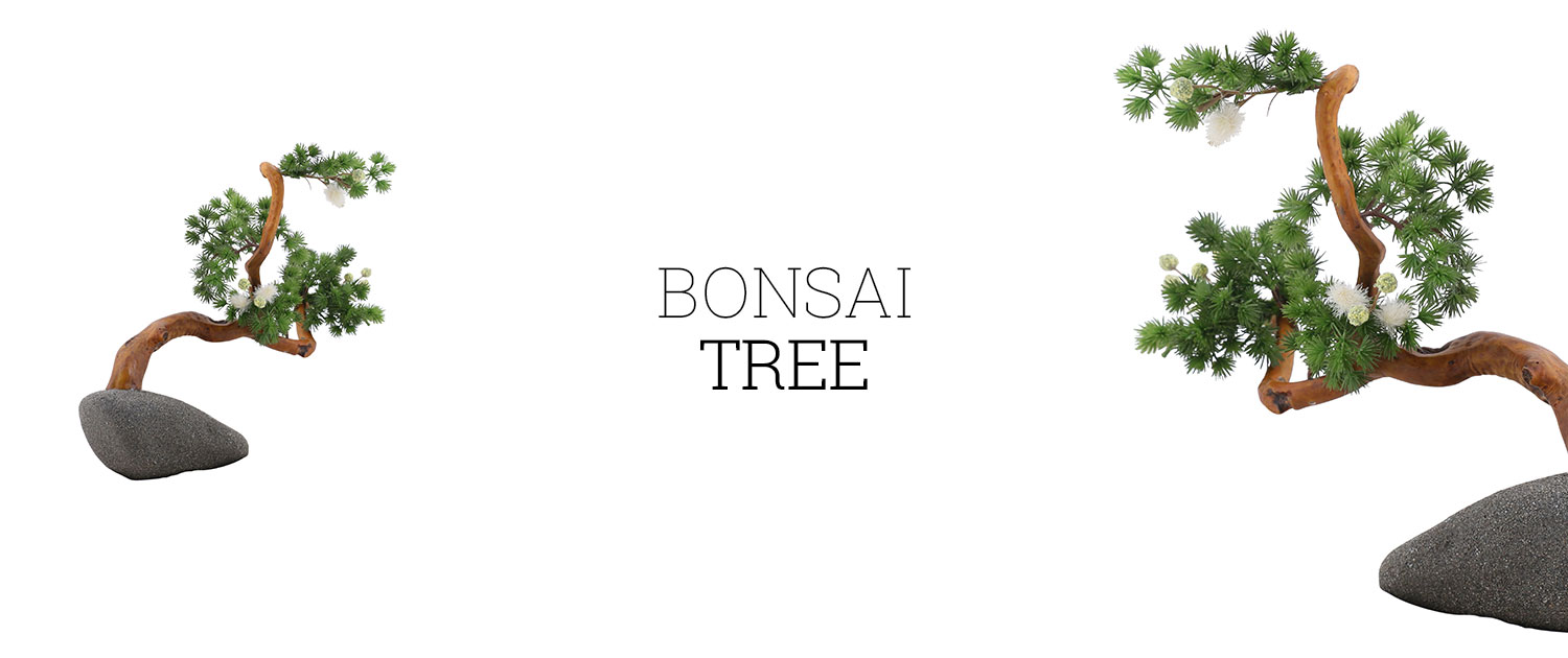 Bonsai Tree