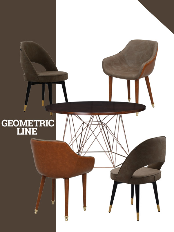GEOMETRIC LINE