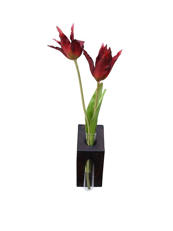 BIRD OF PARADISE TEST TUBE WALL PLANTER