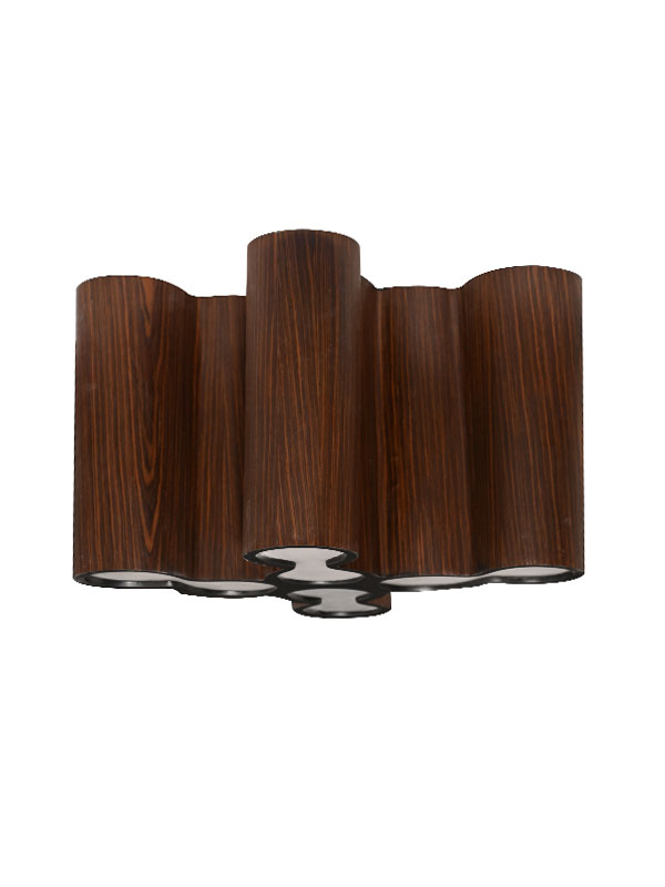 Infinity Ceiling Light