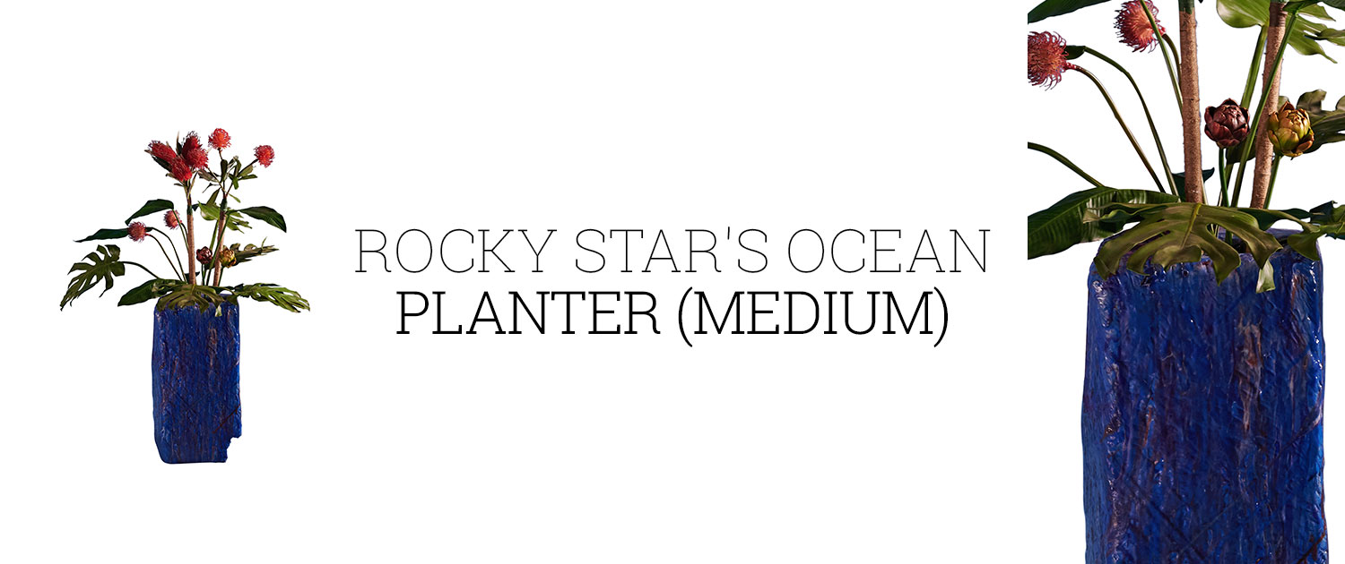 Rocky Star's Ocean Planter (Medium)