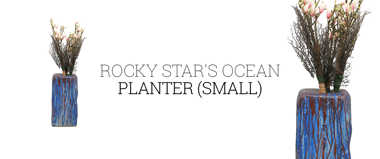 Rocky Star's Ocean Planter (Small)